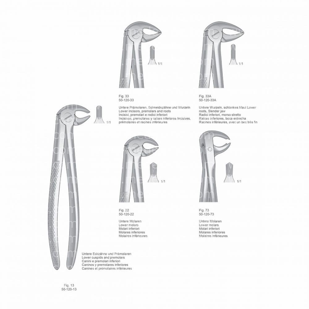 Extracting Forceps, English Pattern