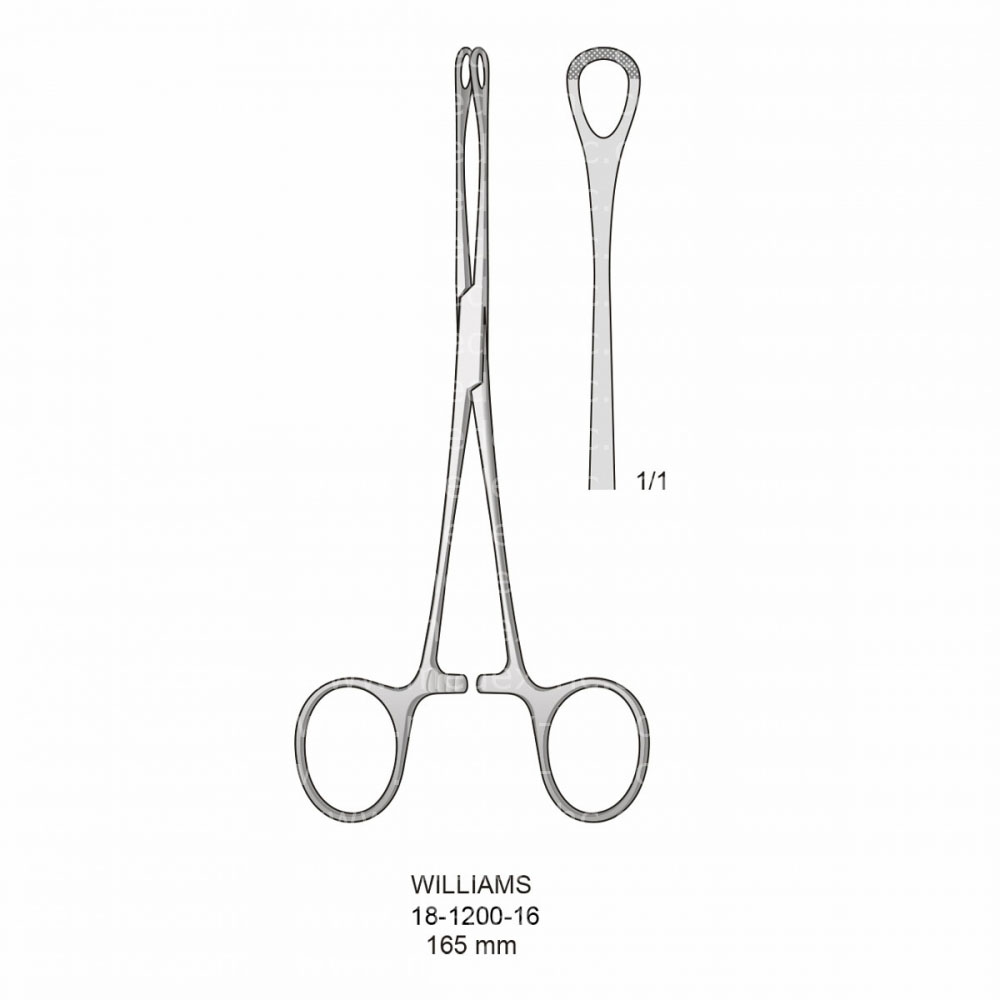 Williams Sponge and Dressing Forceps