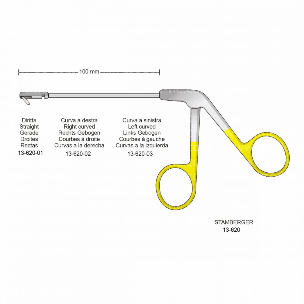 Stamberger Rhinology