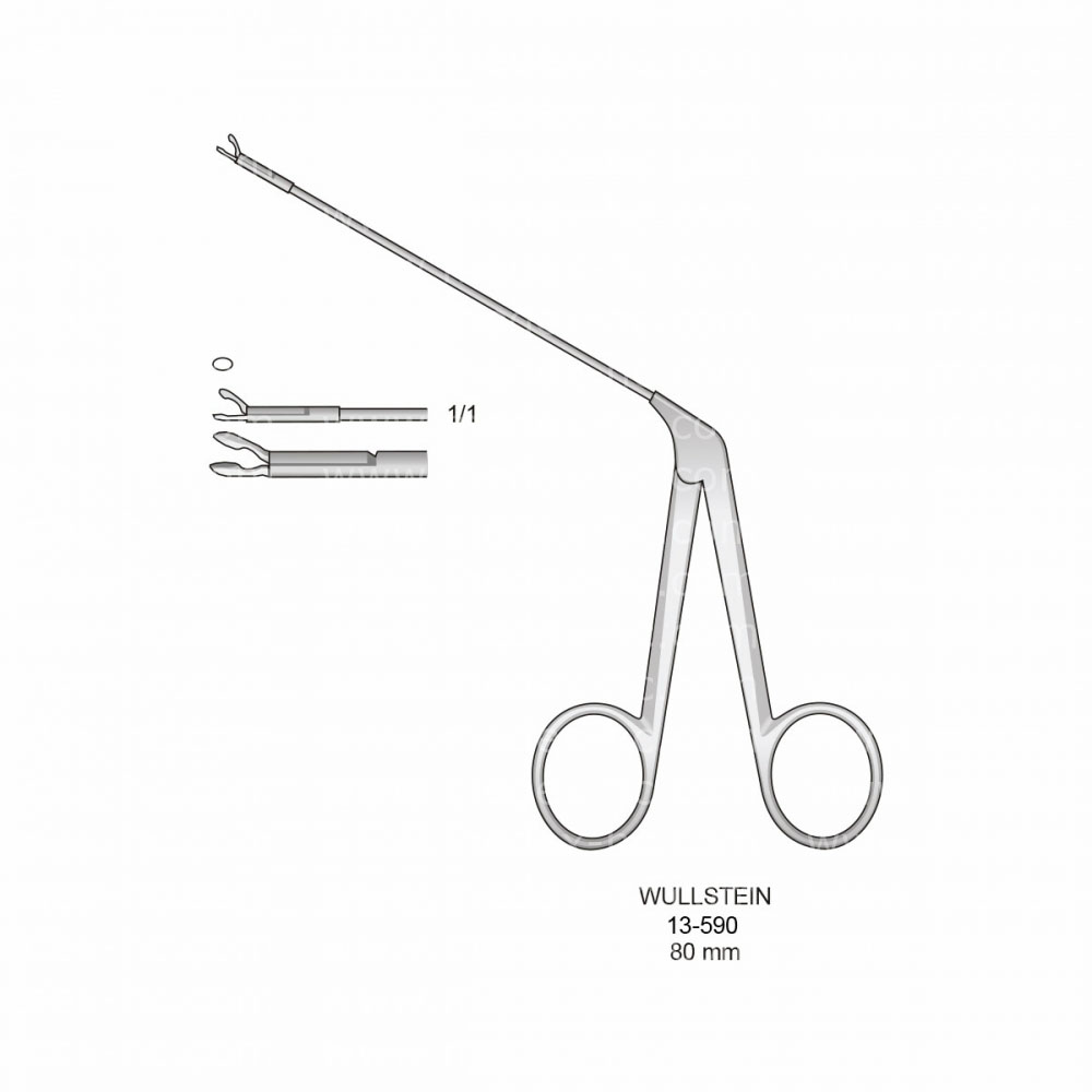 Wullstein Ear Instruments