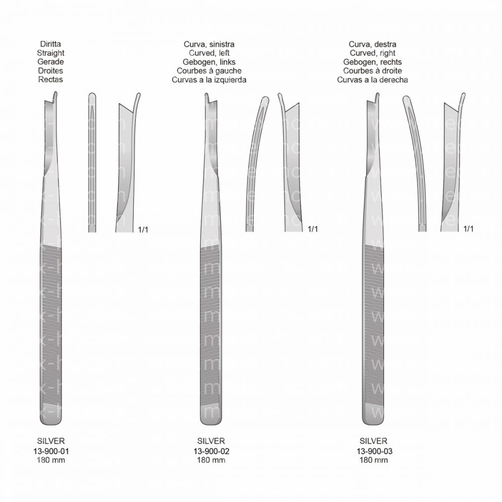 Silver Rhinology