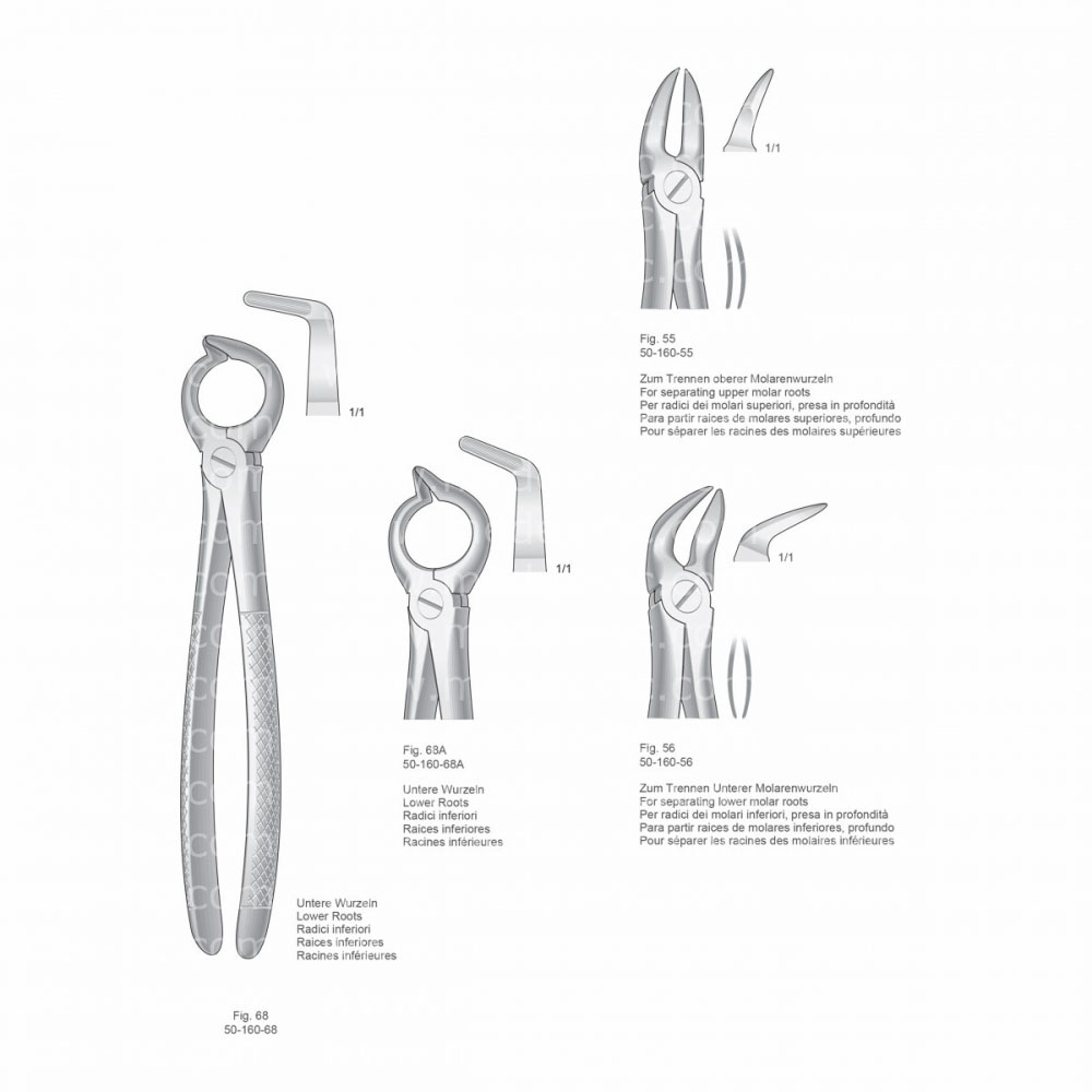 Extracting Forceps, English Pattern