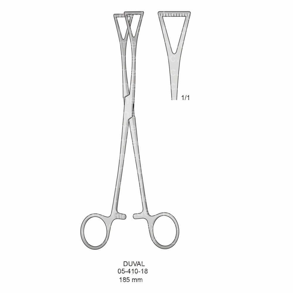 Duval Gum & Tissue Forceps