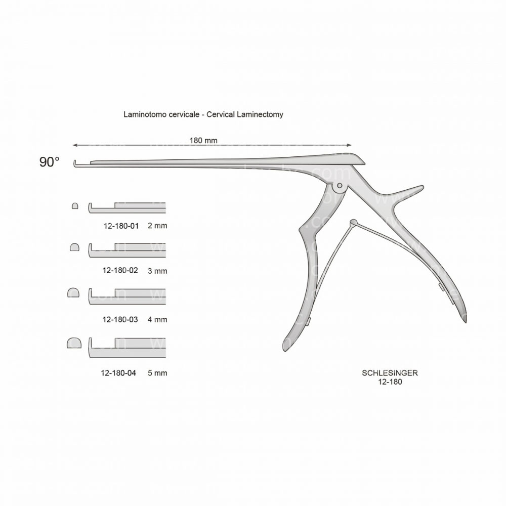 Schlesinger Laminectomy