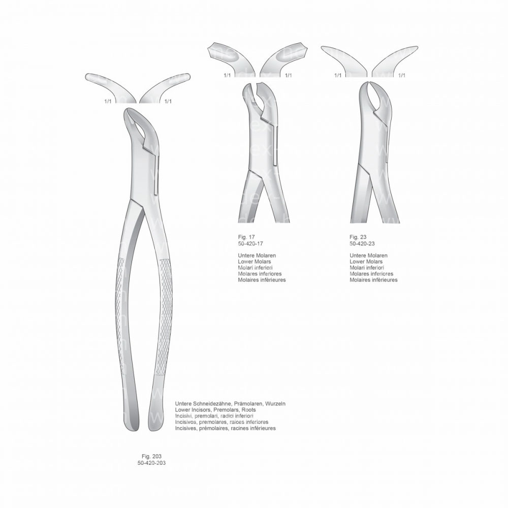 Extracting Forceps, American Pattern