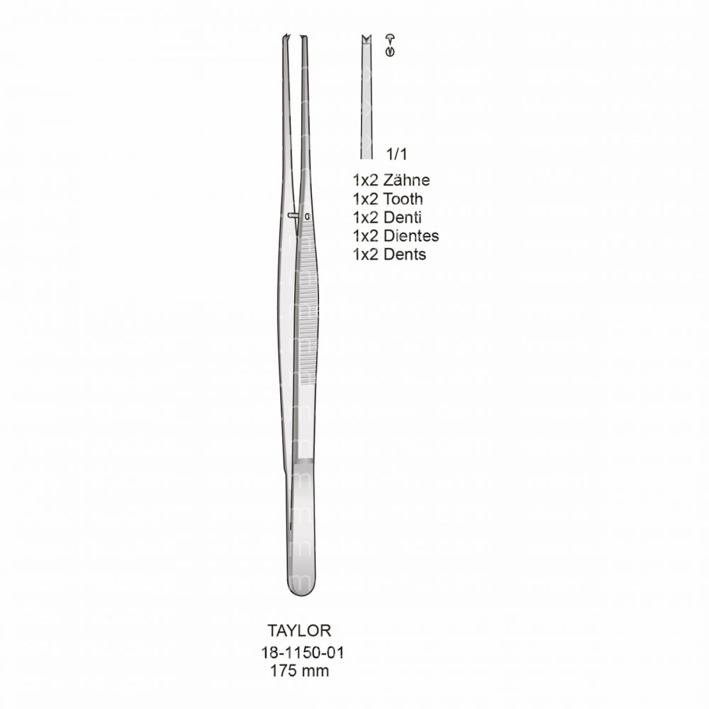 Taylor Tissue Forceps