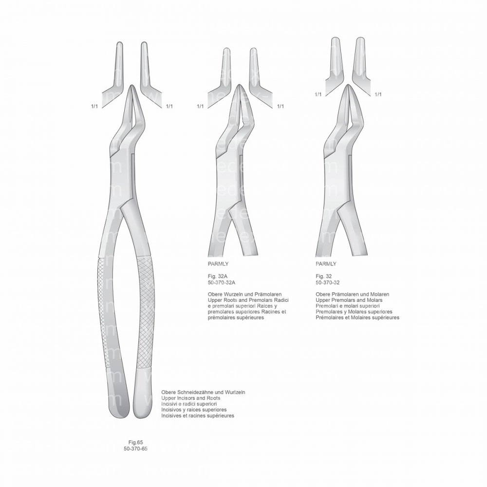 Extracting Forceps, American Pattern