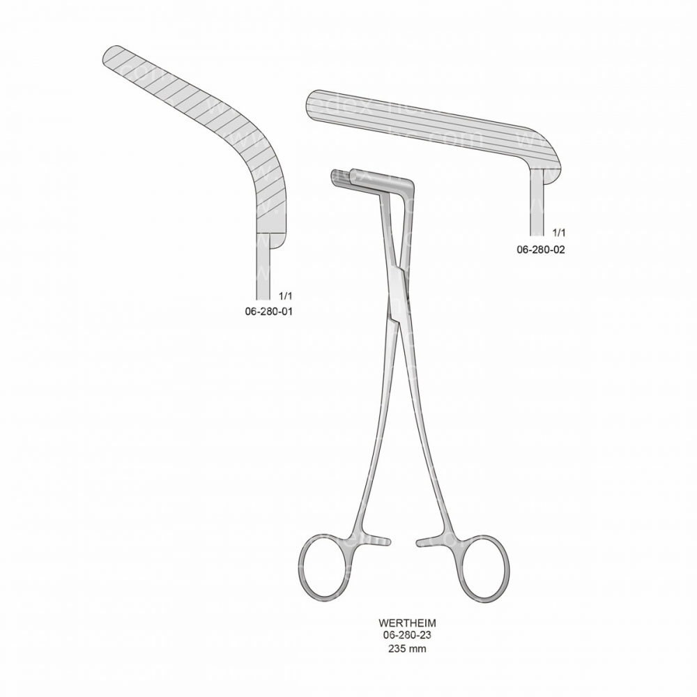 Wertheim Kidney Pedicle Clamps Forceps