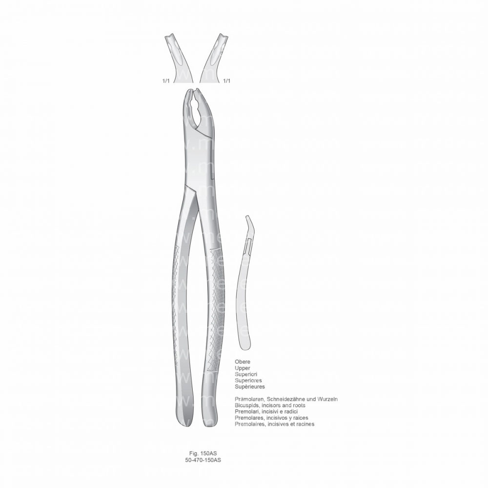 Extracting Forceps, American Pattern