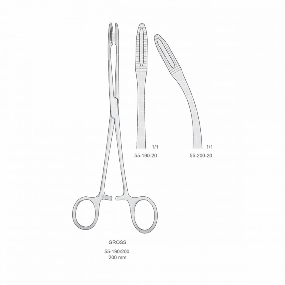 Gross Hemostatic Forceps