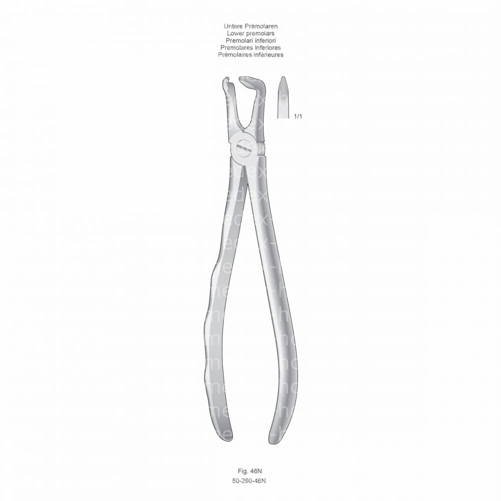 Extracting Forceps, Anatomical Handle