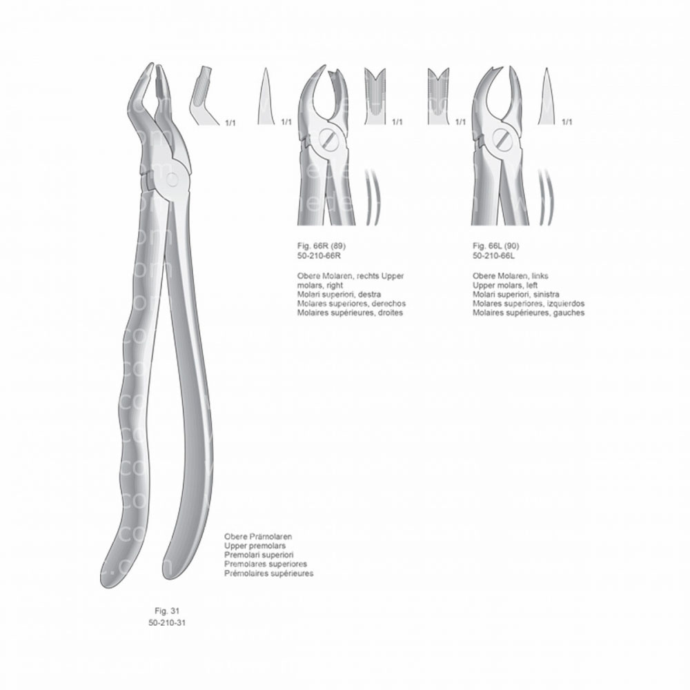 Extracting Forceps, Anatomical Handle