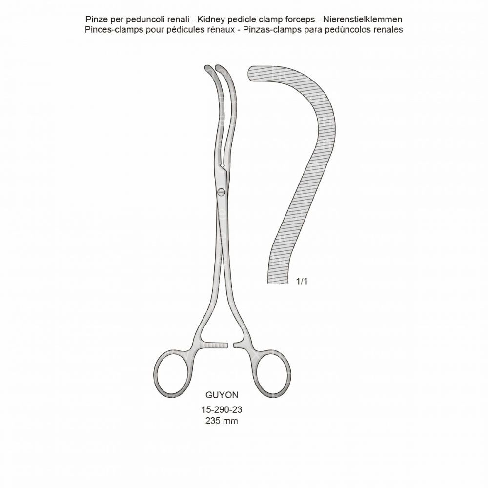 Guyon Intestines and Urology