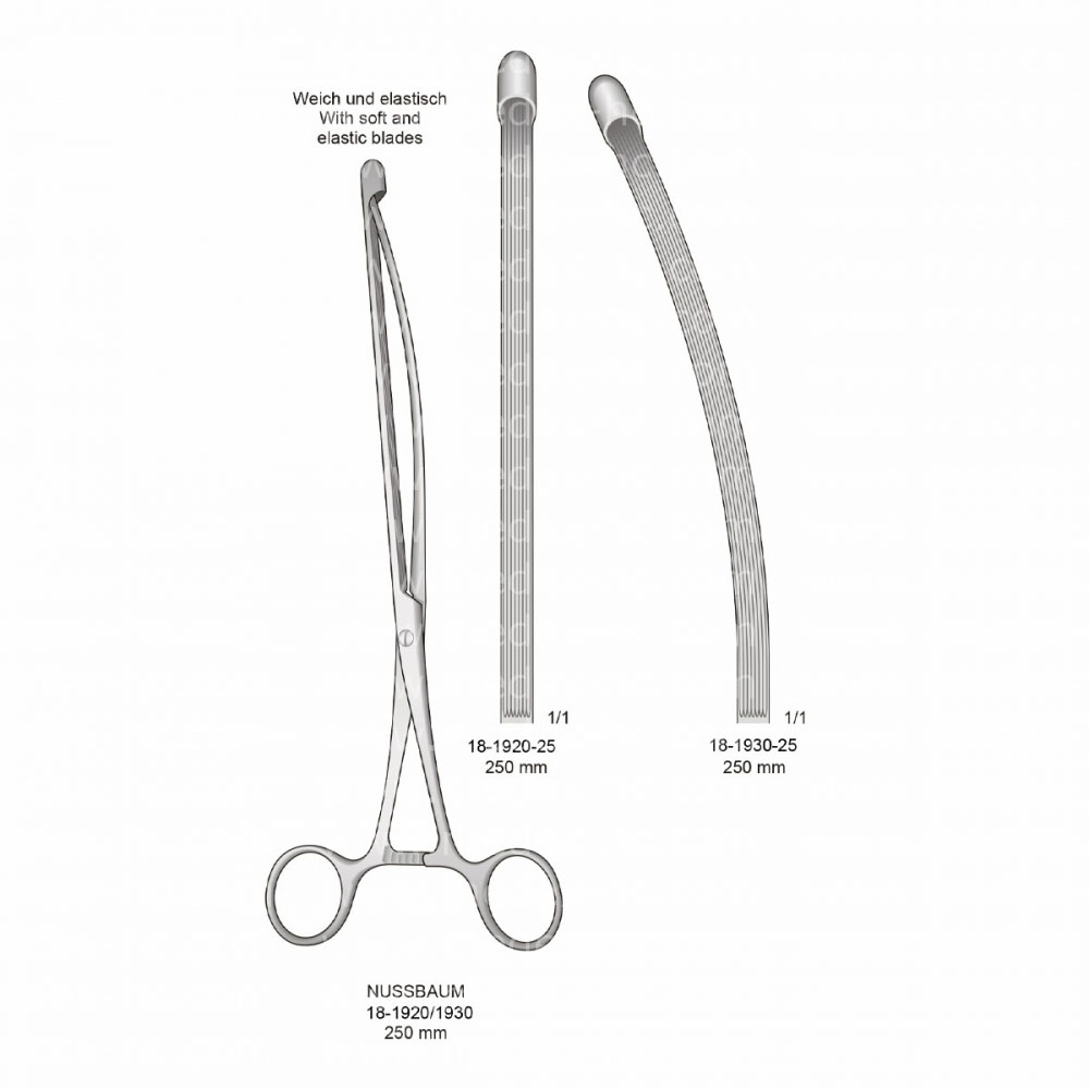 Nussbaum Intestinal Clamps