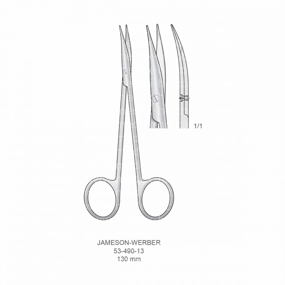 Jameson-Werber Scissors