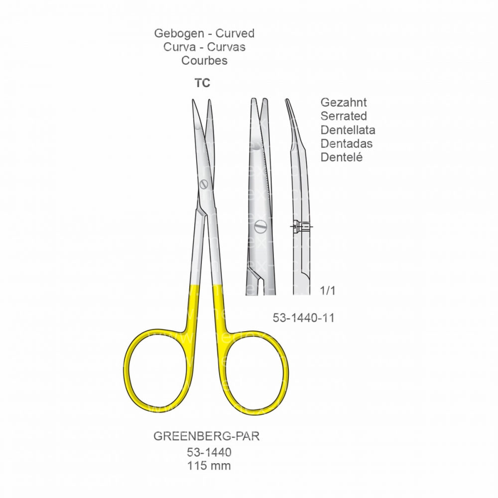 Greenberg-Par Scissors