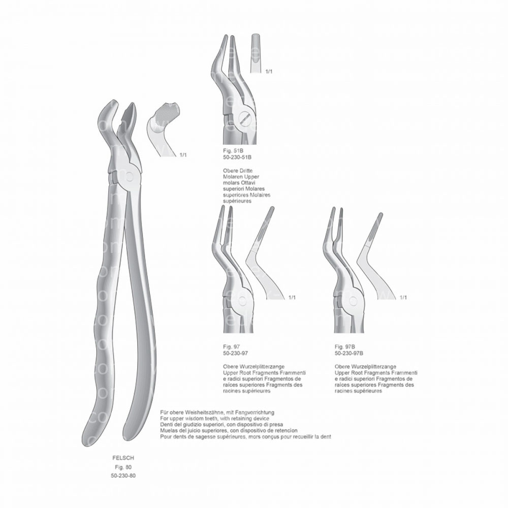 Extracting Forceps, Anatomical Handle