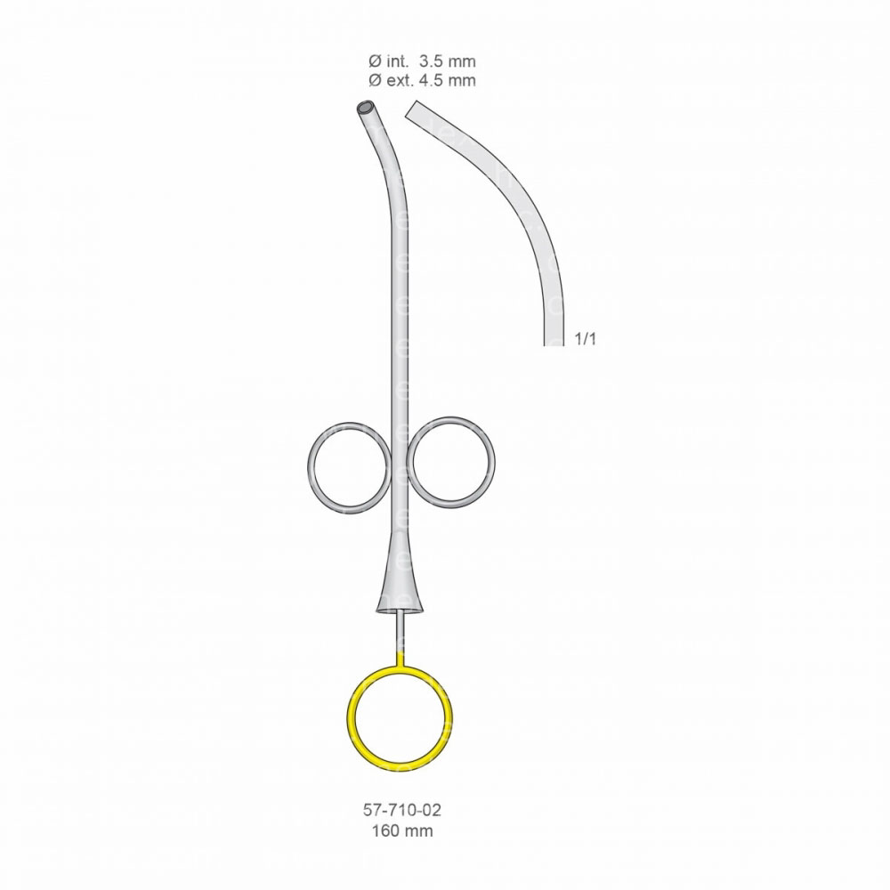 Implantology