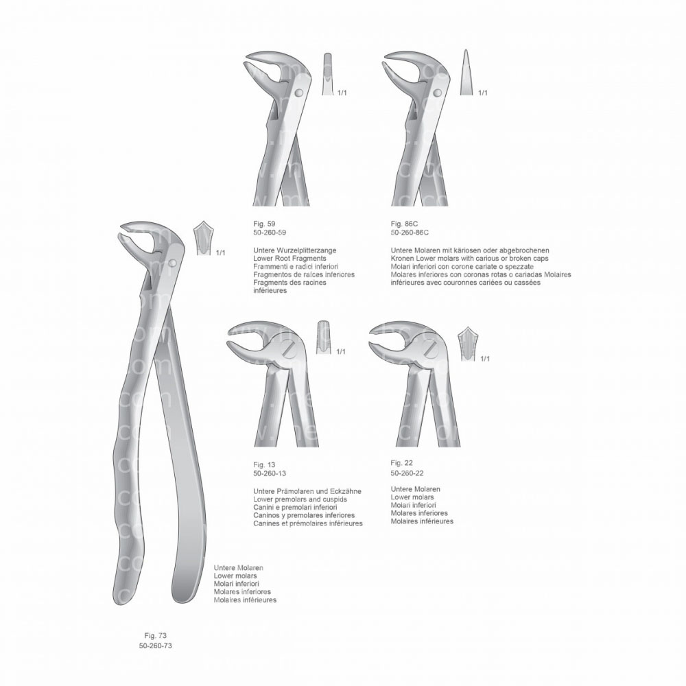 Extracting Forceps, Anatomical Handle