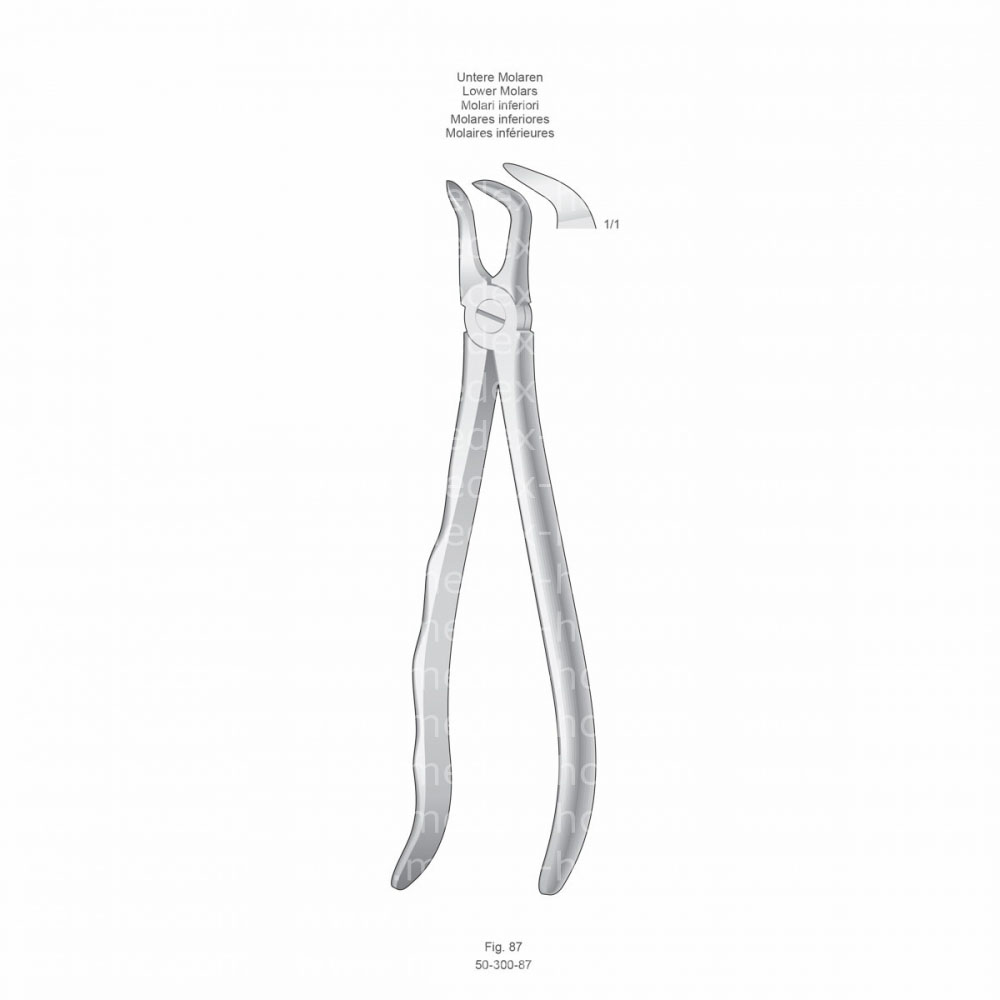 Extracting Forceps, Anatomical Handle