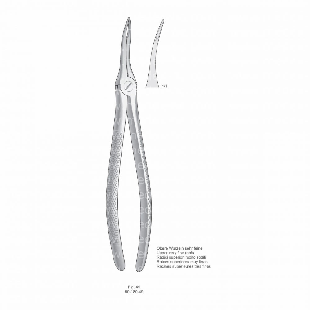 Extracting Forceps, English Pattern