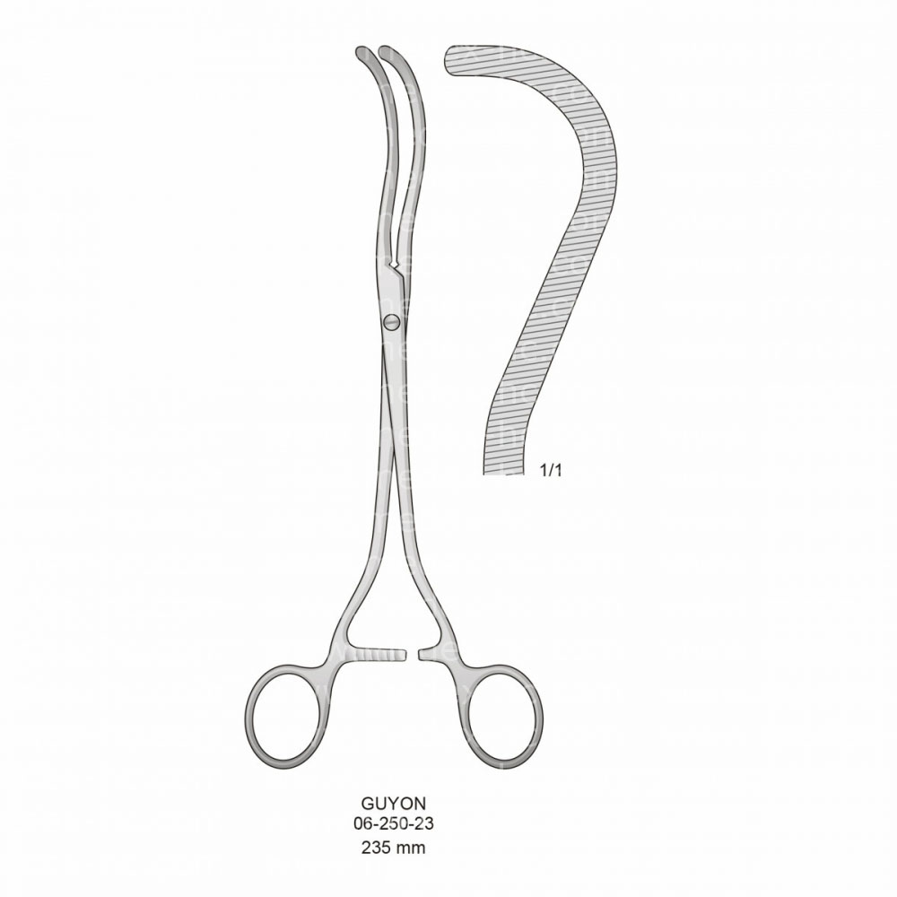 Guyon Kidney Pedicle Clamps Forceps