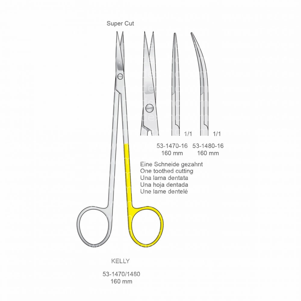 Kelly Scissors