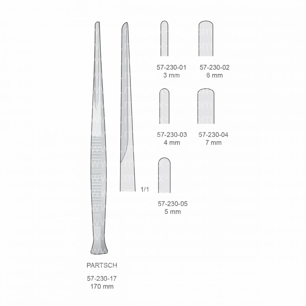 Partsch Implantology