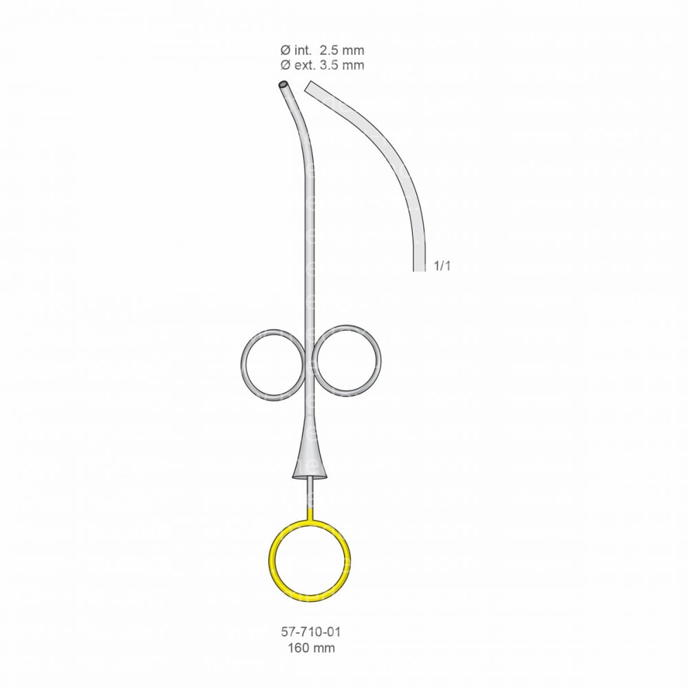 Implantology