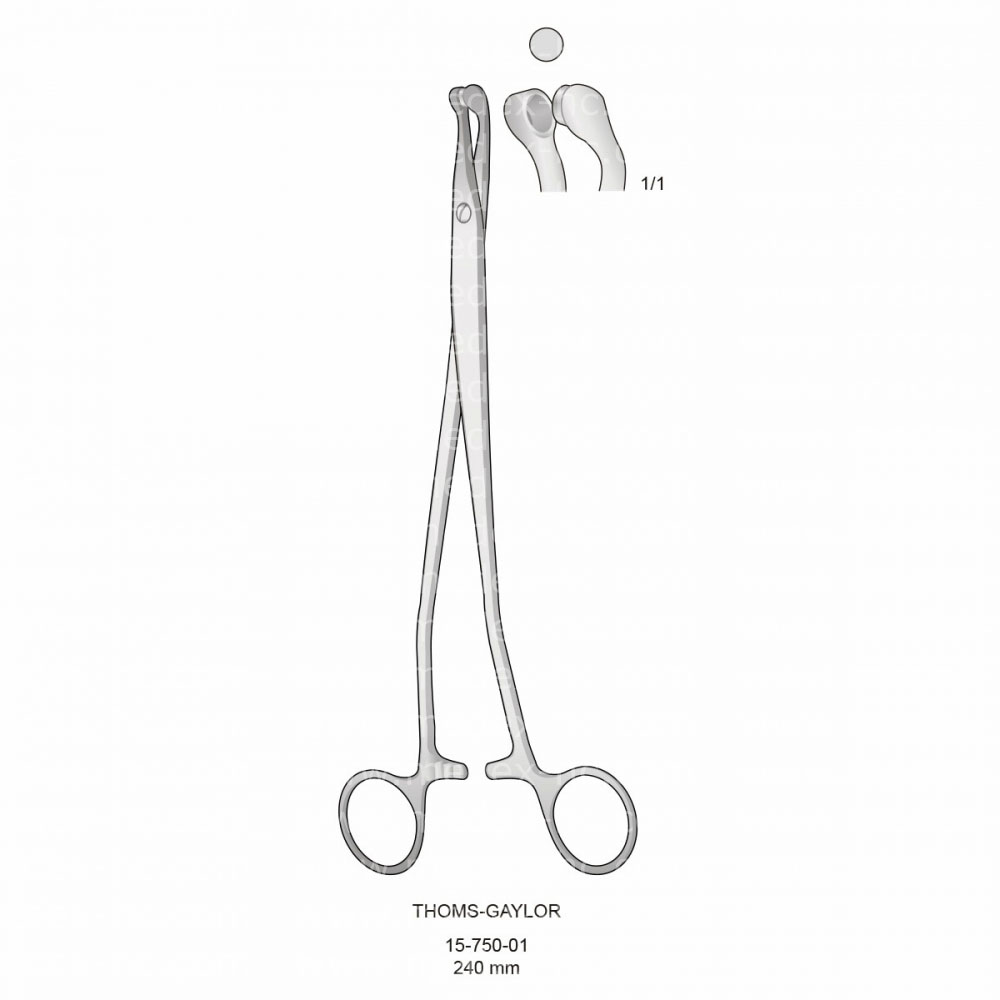 Thoms-Gaylor Biopsy Specimen Forceps