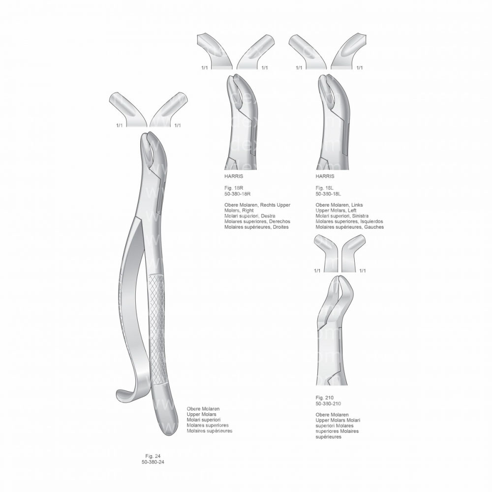 Extracting Forceps, American Pattern