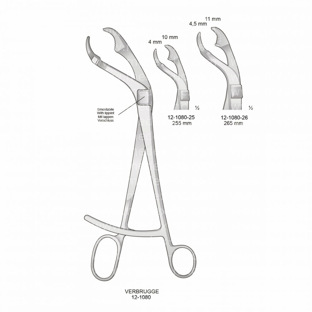 Verbrugge Bone Holding Forceps