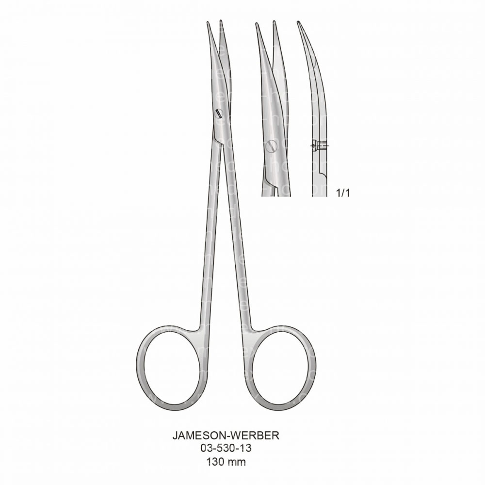  Jameson-Werber Operating Scissors