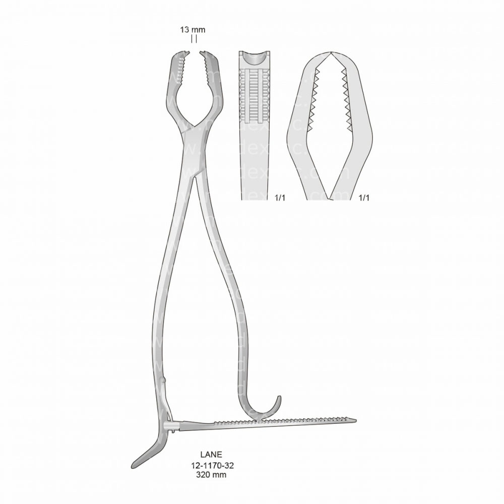 Lane Bone Holding Forceps