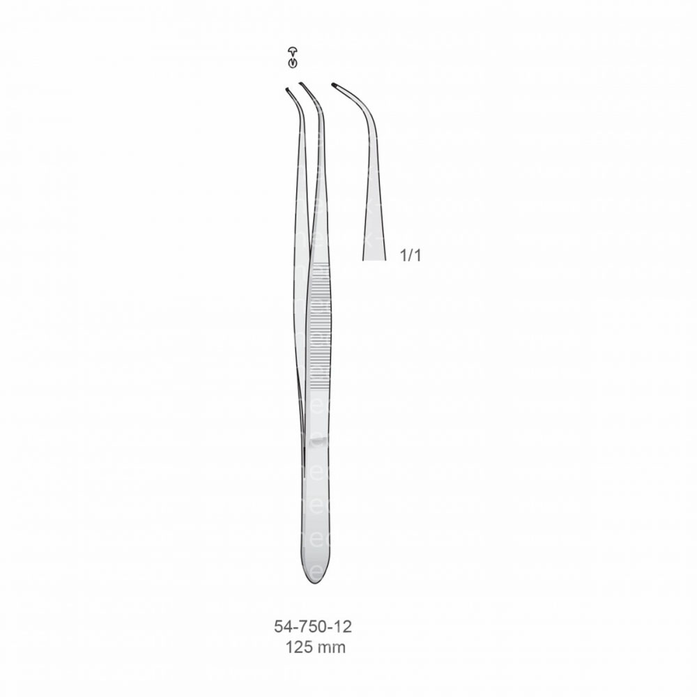 Delicate Forceps