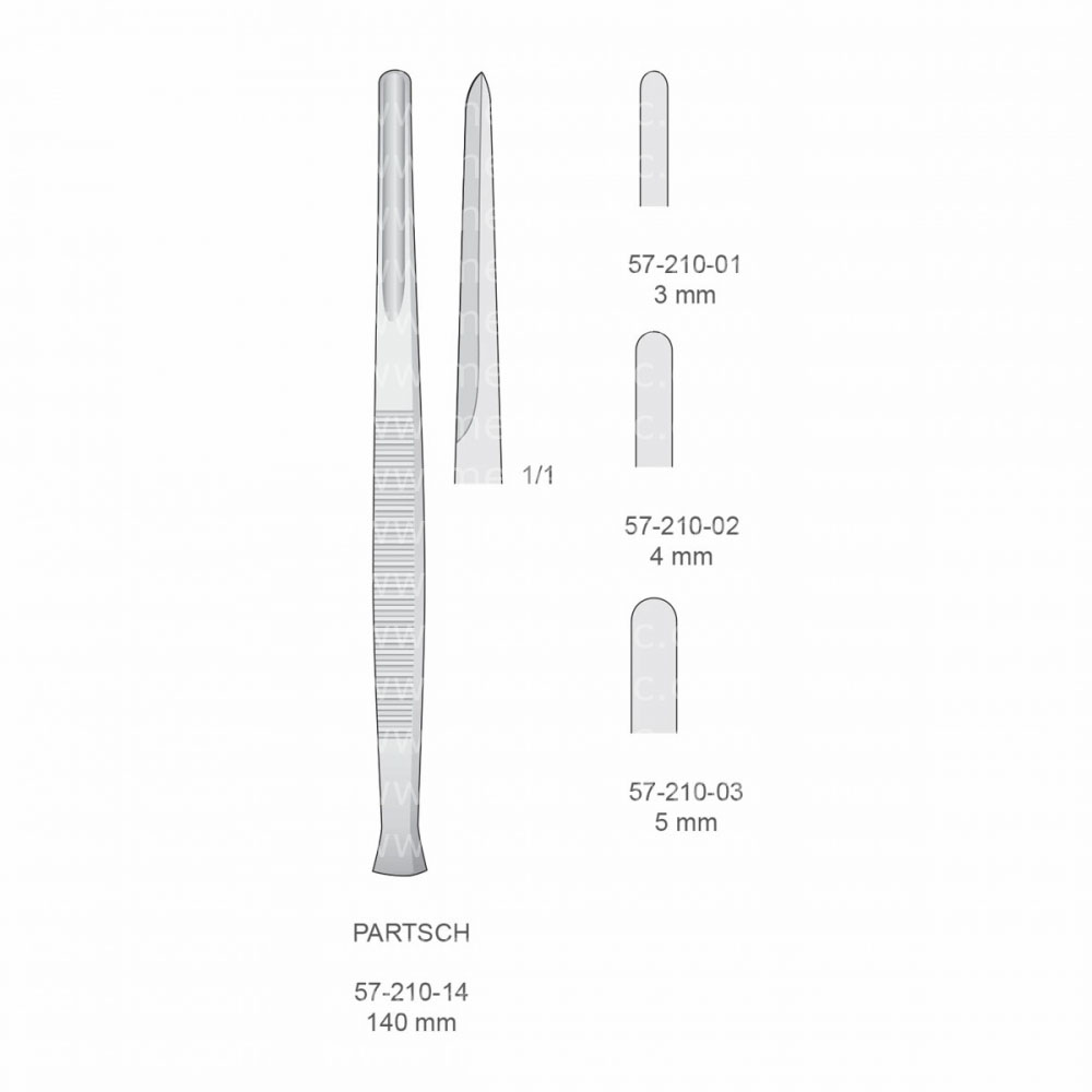 Partsch Implantology