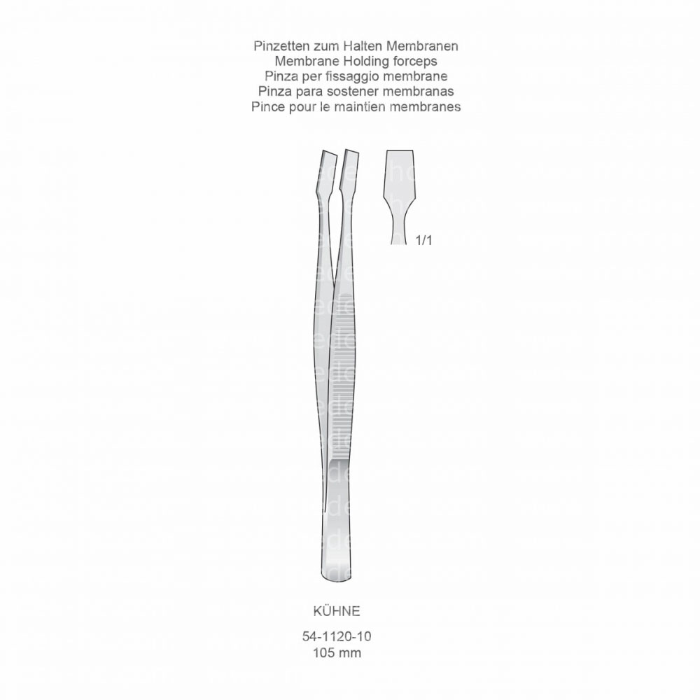 Kühne Tissue Forceps