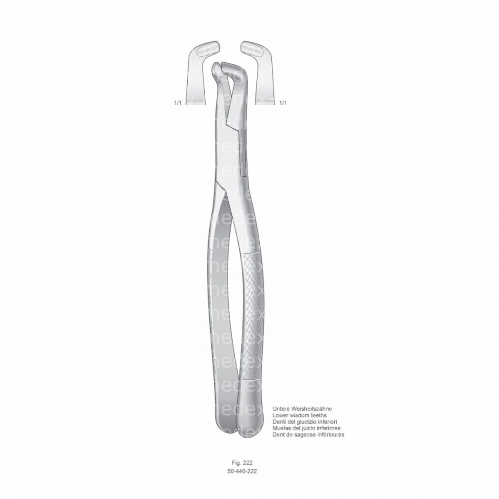 Extracting Forceps, American Pattern